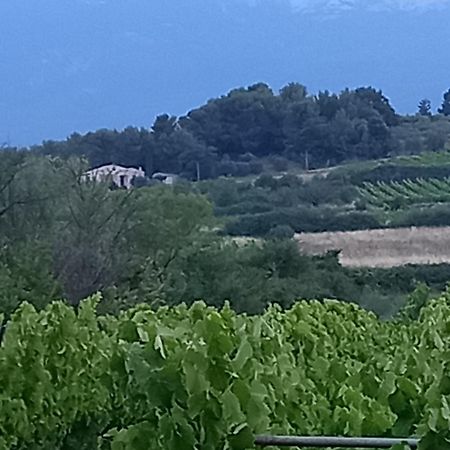 Willa La Pifote Villes-sur-Auzon Zewnętrze zdjęcie