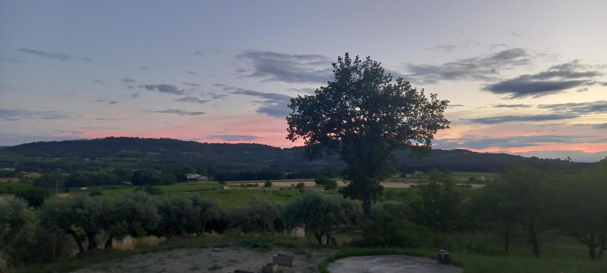 Willa La Pifote Villes-sur-Auzon Zewnętrze zdjęcie