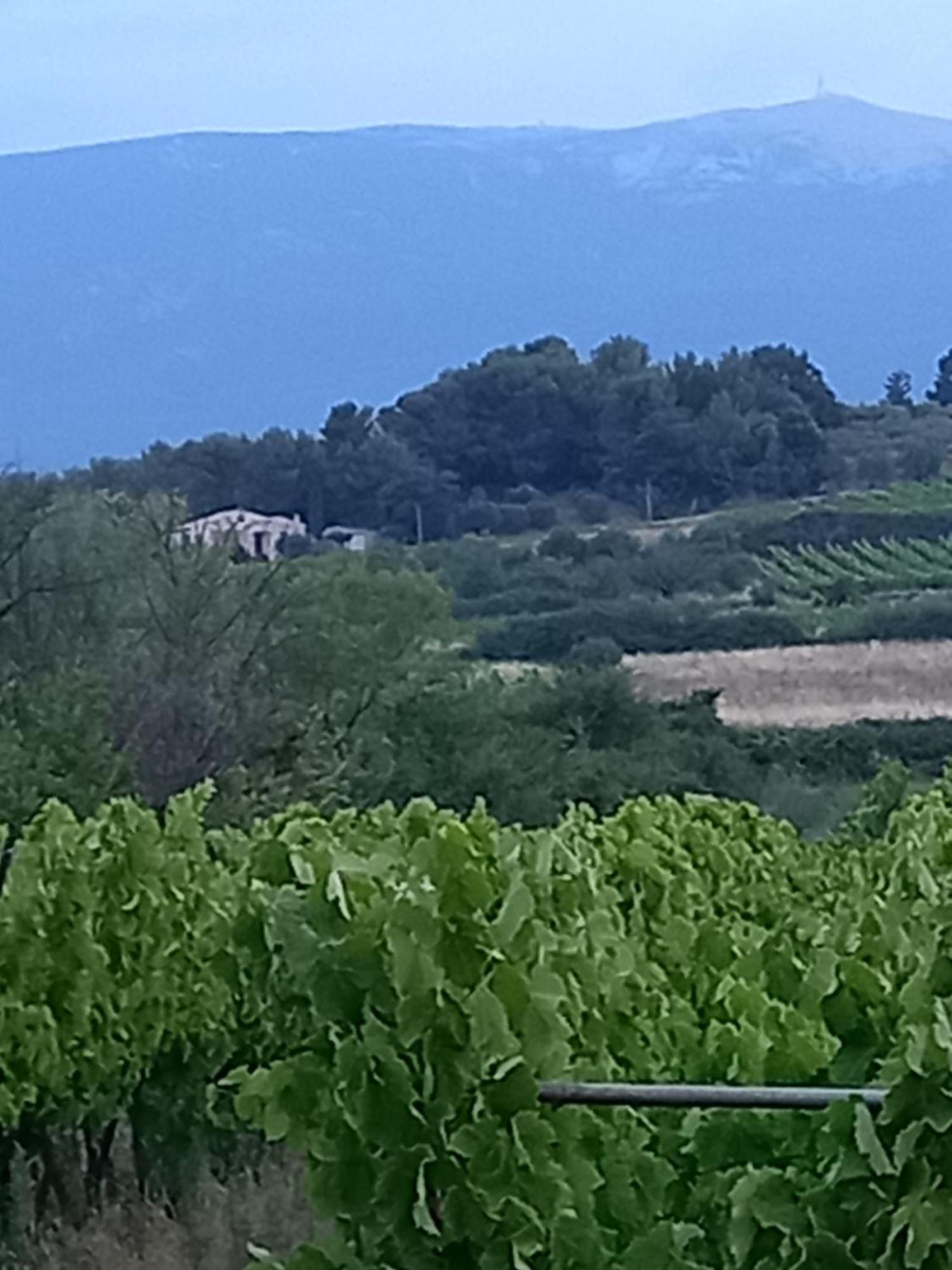 Willa La Pifote Villes-sur-Auzon Zewnętrze zdjęcie