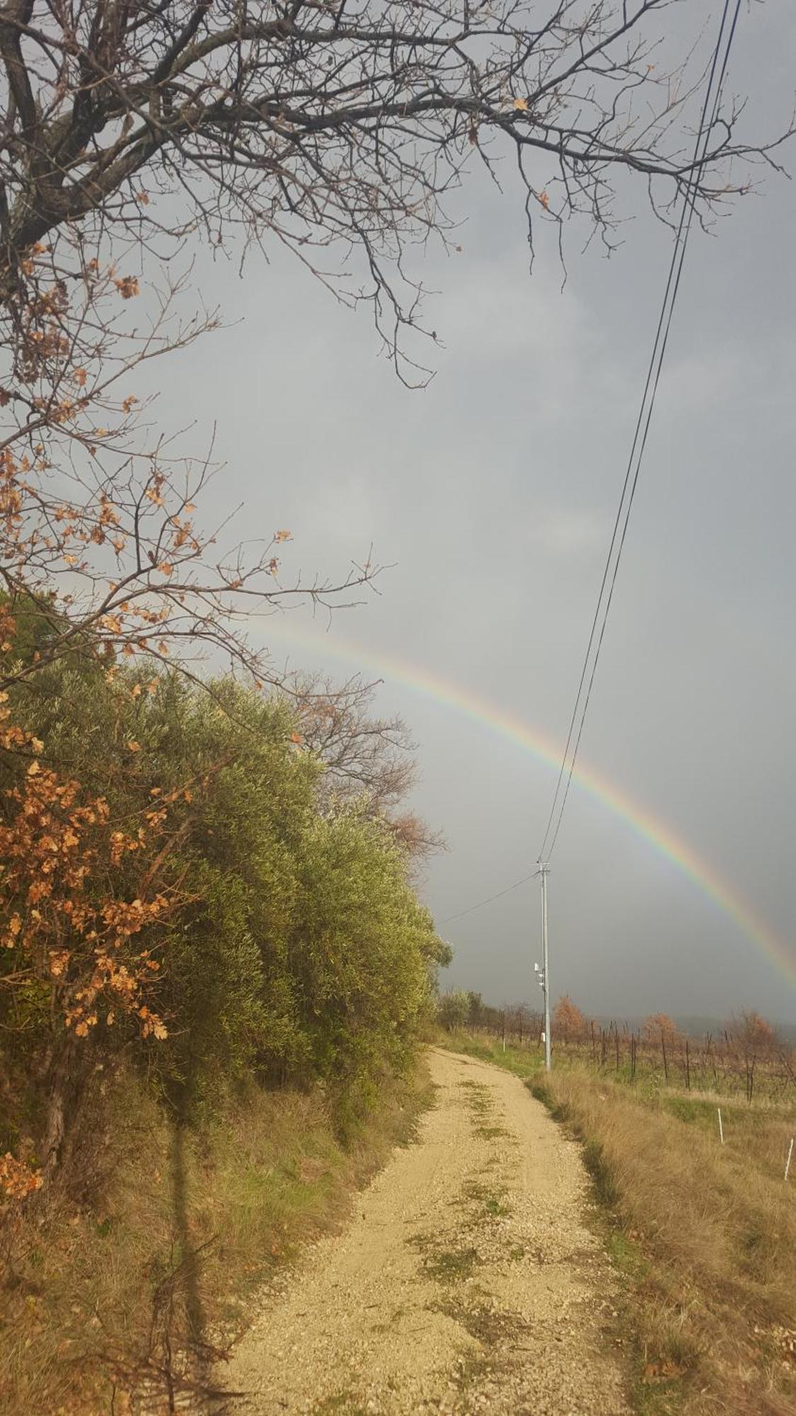 Willa La Pifote Villes-sur-Auzon Zewnętrze zdjęcie